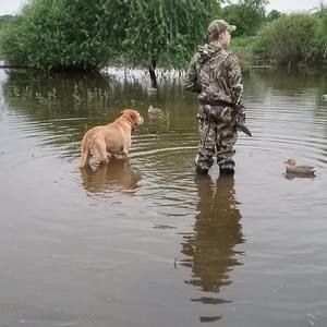 Meet your Posher, Grady